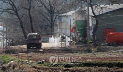 강화 구제역 살처분 준비