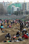 친환경 도시텃밭 개장