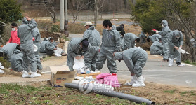 <르포> 구제역 휩쓴 강화..축산농민 망연자실