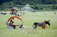 소설 메밀꽃 필 무렵 마당극으로 본다