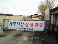 구제역으로 다시 문 닫은 소시장