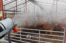 강원 구제역 방역 강화