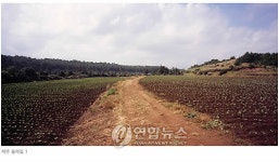 사진기자들의 외출, `취만부동