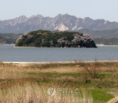 산벚꽃 만개한 강진만 죽도