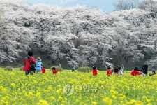 꽃밭속 동심
