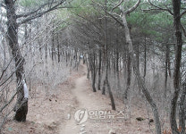 <카메라뉴스> 영덕 칠보산 특색경관 조성