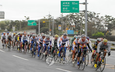 제주서 질주하는 투르 드 코리아