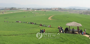 <카메라뉴스> 보리밭 사잇길로 ♬~