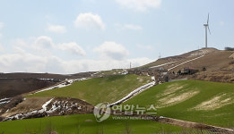 아직 겨울 남아 있는 강릉 고랭지 안반덕