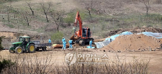 축산연구소서 사상 첫 구제역 발생(종합2보)