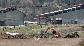축산기술연구소서 구제역 발생