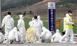 청양 구제역 비상..현장들어가는 방역요원