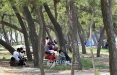 무더위에는 그늘이 최고