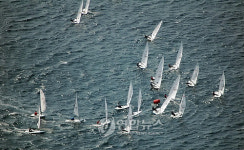 바다 수놓은 요트