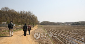여유롭게 걷는 DMZ 평화누리길