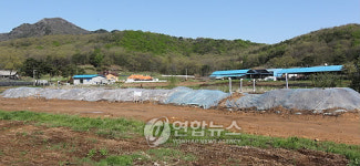 강화 구제역 한 달