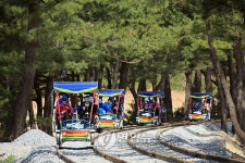 삼척 해양 레일바이크 내달초 정식 운행