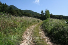 이야기가 있는 문화생태 탐방로-강화나들기 고비고개길