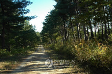 이야기가 있는 문화생태 탐방로-대관령 너머길 명주군왕릉 가는길