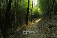 이야기가 있는 문화생태 탐방로-백의종군로 읍성대밭길