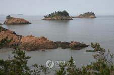 이야기가 있는 문화생태 탐방로-증도모실길 해저유물인양해역