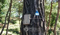 국유 수목장림 1년..새 장묘문화 길터