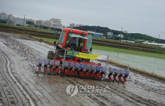 익산서 직파재배법 시연