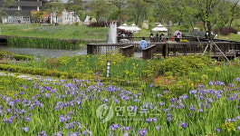 서울창포원 꽃놀이