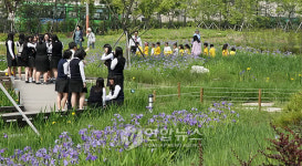 서울창포원 꽃놀이