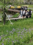 서울창포원 꽃놀이
