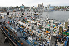 동해 중부 전 해상에 풍랑경보