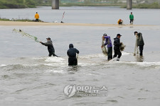 봄 전어도 맛있어요