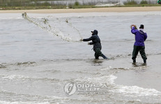 봄 전어도 맛있어요