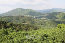 산림寶庫 광릉숲 유네스코 생물권보전지역 등재