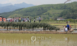 섶다리 건너며 추억을 건너요