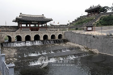 수원천 상류에 1급수 어종 버들치 서식