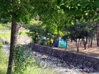 금오산야영장에 터잡은 장기 숙박자들