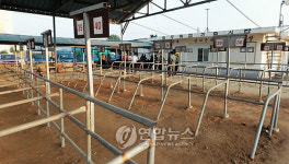 문은 열었어도 썰렁한 충주 가축시장