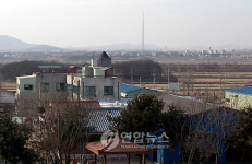  DMZ 대성동 마을의 소망