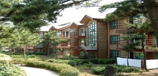 제주의 별장형 타운하우스, 50% 할인 특별 분양