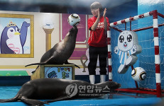 아르헨티나전도 파이팅!