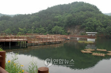 공주 금학생태공원 아름다운 자태