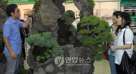 2010 대한민국 조경박람회