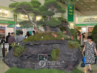 2010 대한민국 조경박람회