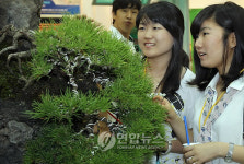 2010 대한민국 조경박람회