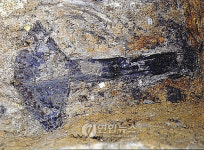 경주평야서 2천년전 수장급 목곽묘