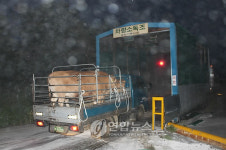 문을 연 광천우시장