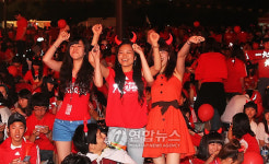 <2010월드컵>대한민국 승리를 위해