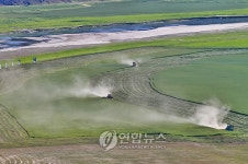 인제 소양댐 상류 축산조사료 수확한창