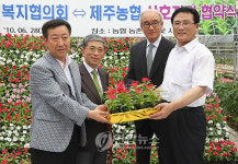 원예치료 위한 꽃 분양